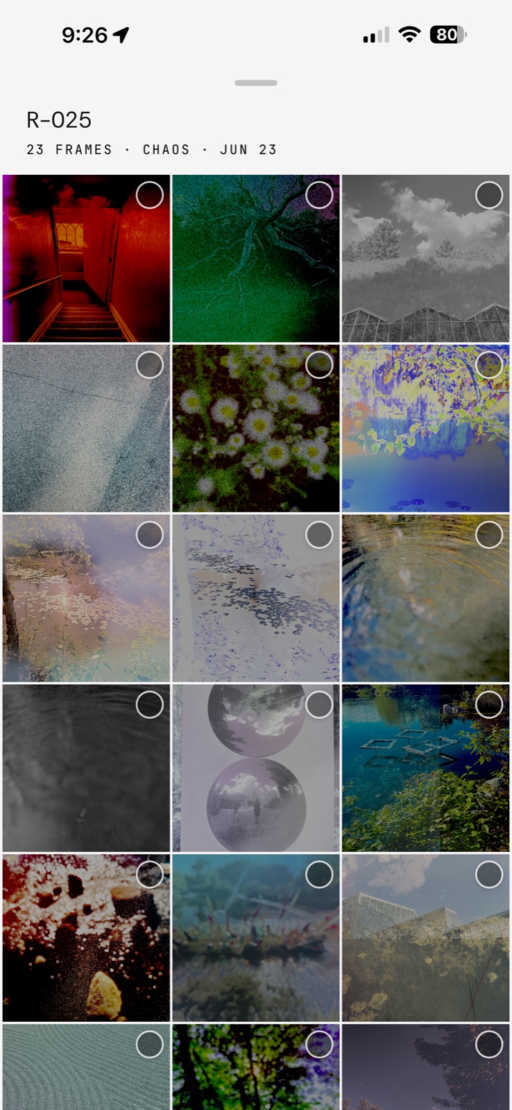Rewind app — contact sheet