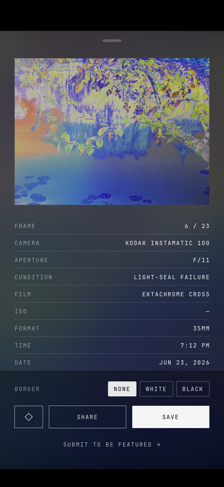 Rewind app — frame viewer